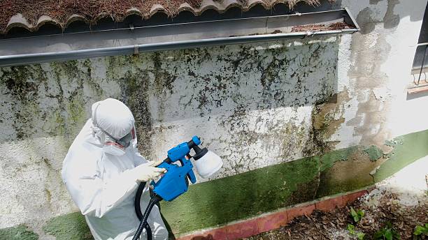 Top rated local Mold Inspection And Testing specialists in Robbins, NC